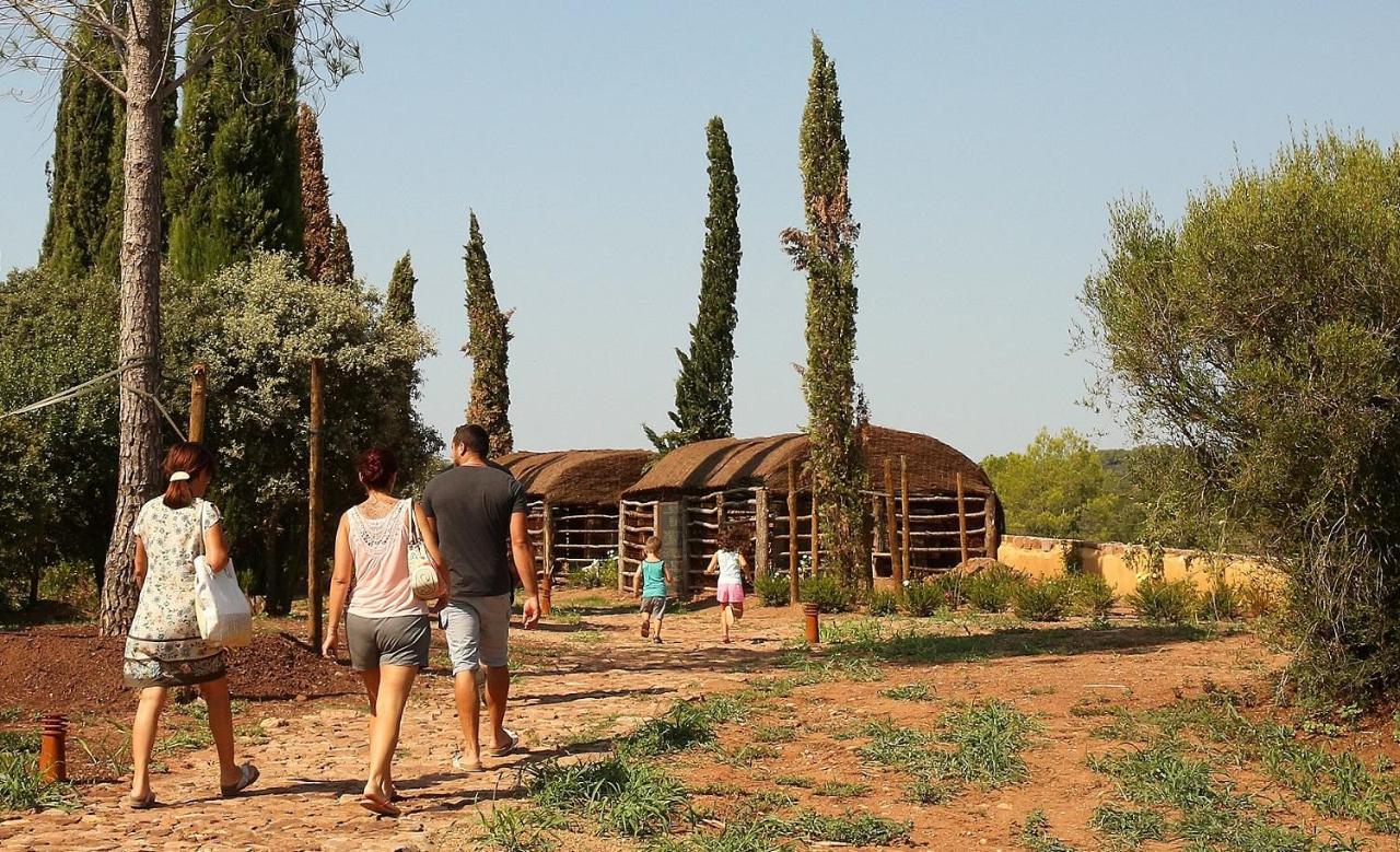 Chateau Saint Roux Le Luc-Le Cannet Des Maures Hotel Exterior photo